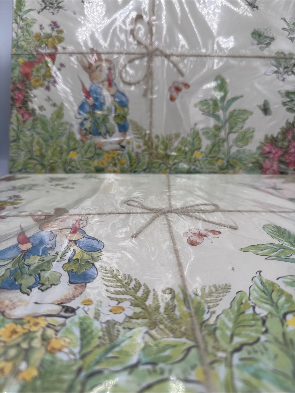 Pottery Barn Peter Rabbit Garden Cork Placemats Set of 8 Easter Discontinued NWT - Picture 3 of 9